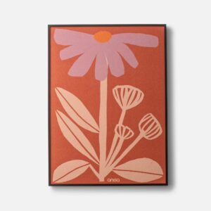 Coneflower Framed Print by Anisa Makhoul